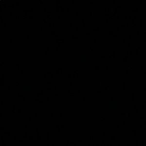 Meet your Posher, Shruti